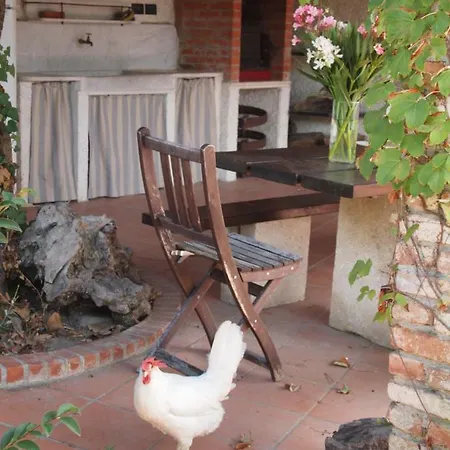 Apartment Gigina *